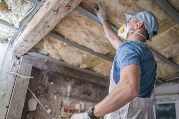 Best Insulation Inspection Services  in Punxsutawney, PA