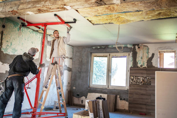 Best Professional Insulation Contractor  in Punxsutawney, PA