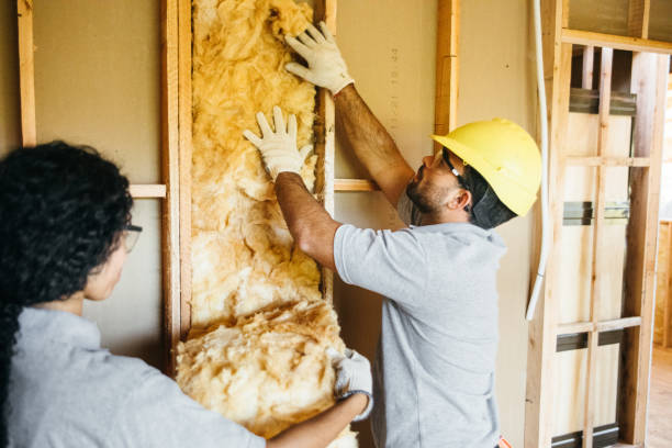 Best Spray Foam Insulation  in Punxsutawney, PA