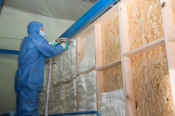 Best Home Insulation Services  in Punxsutawney, PA